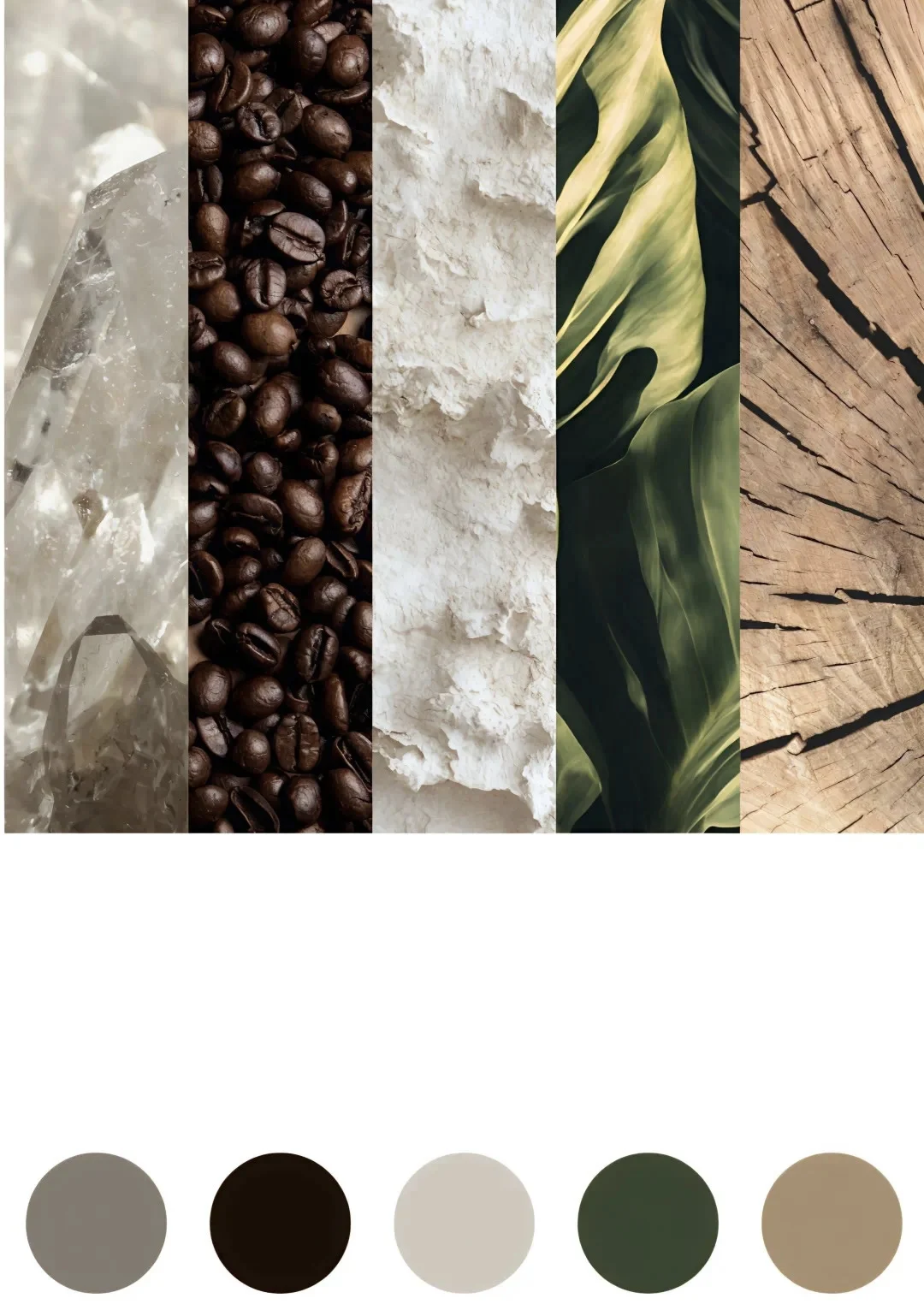 2026秋冬流行色趋势—原色