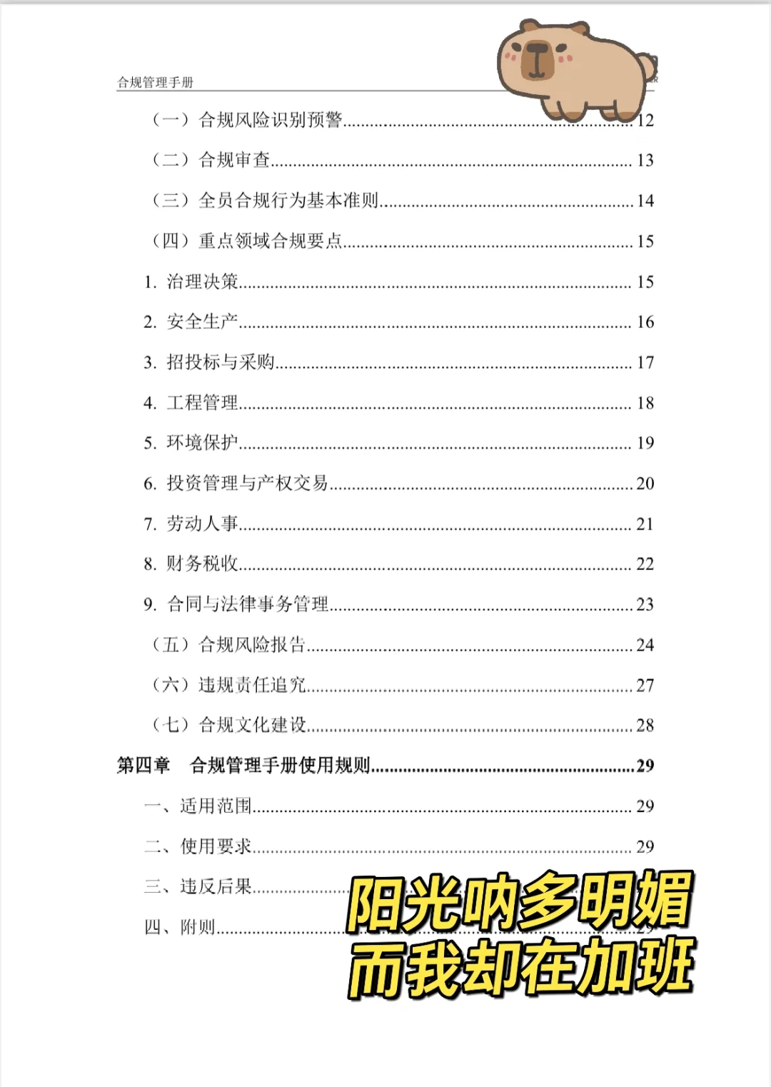 合规管理手册怎么编能实用点?