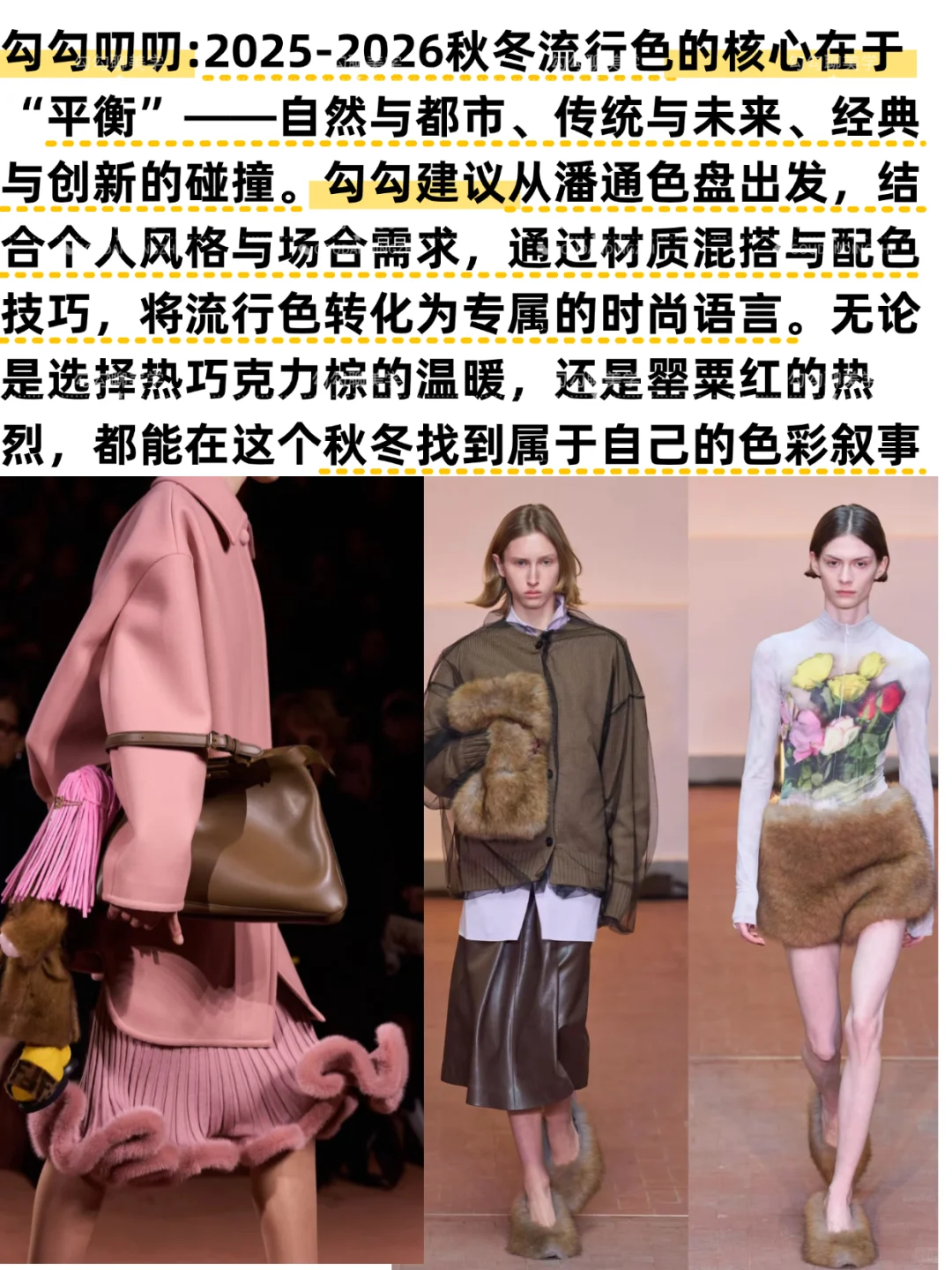 2025秋冬流行色全解析|一篇说清秋冬流行色