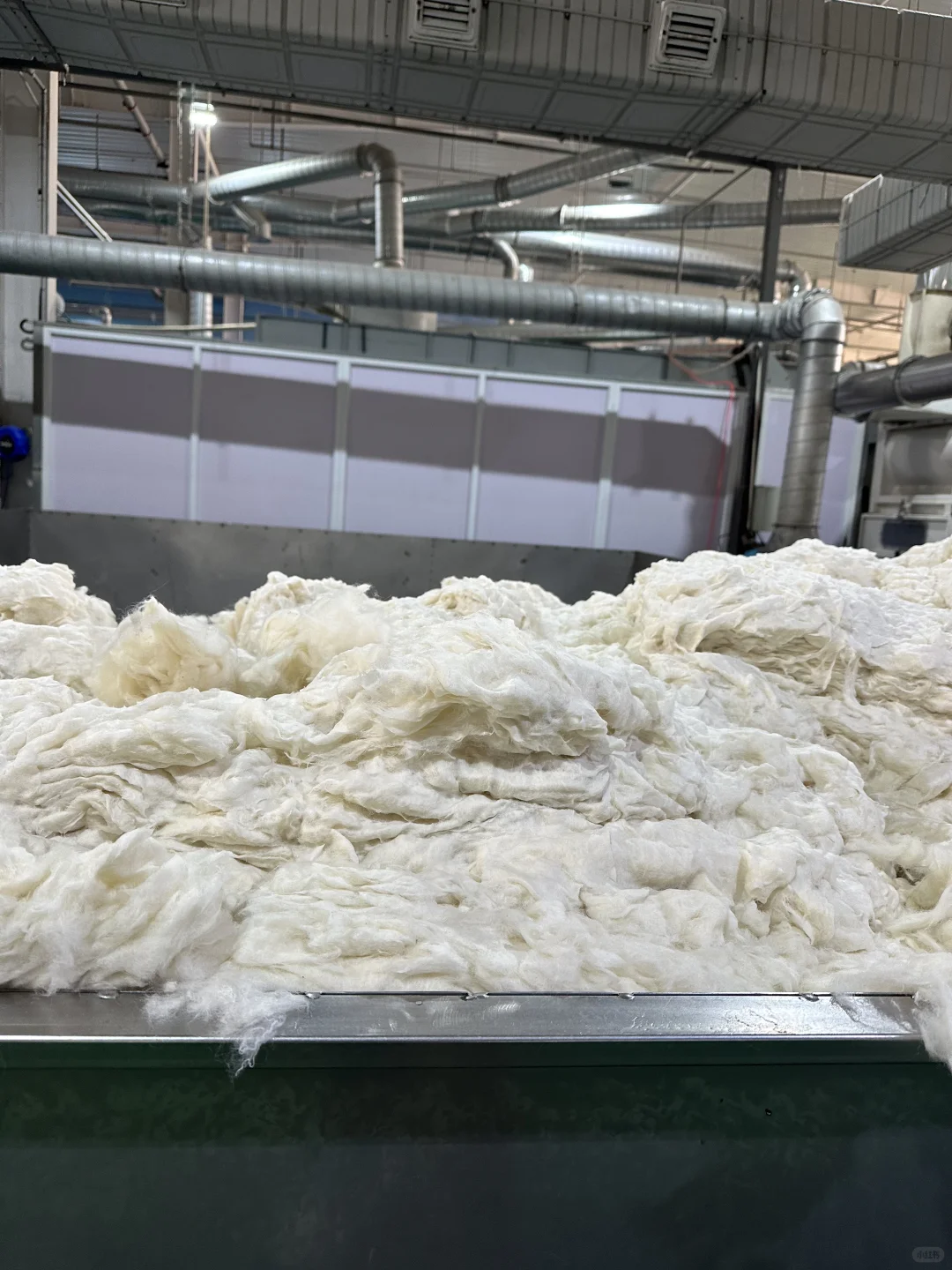 河北探厂㊙️发现了雪地靴的秘密