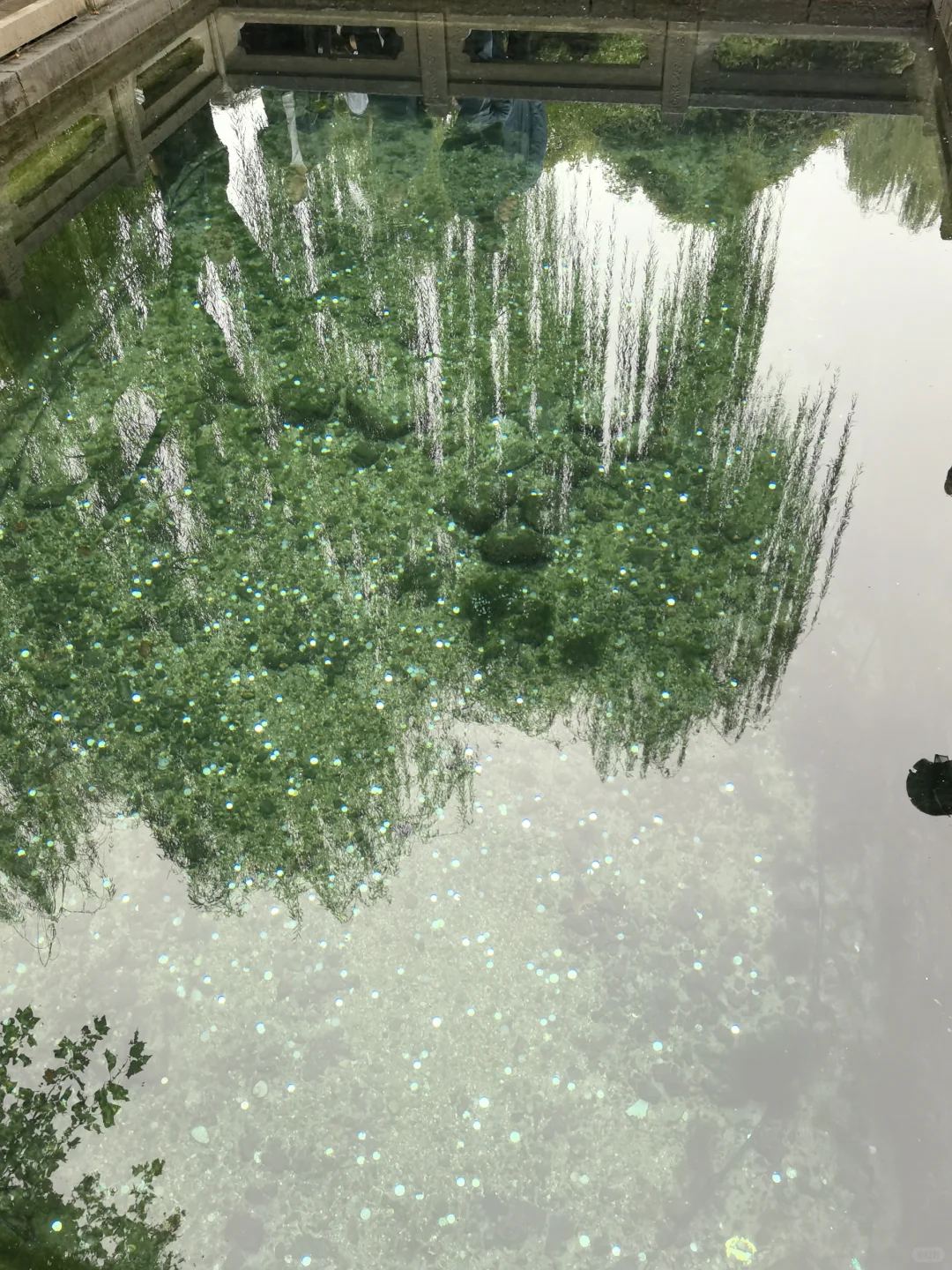 济南的独一份儿