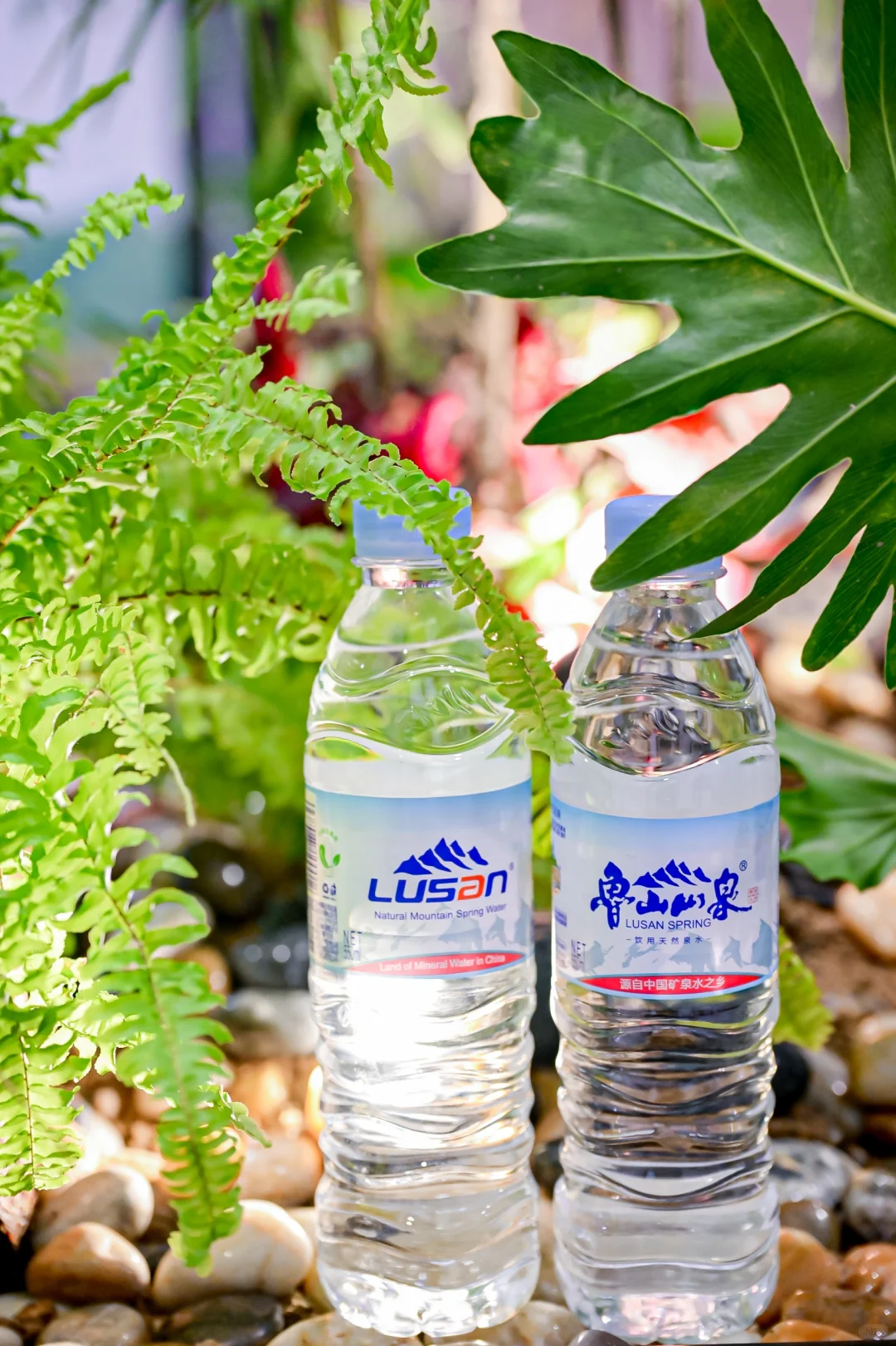 鲁山山泉550ml 饮用天然泉水