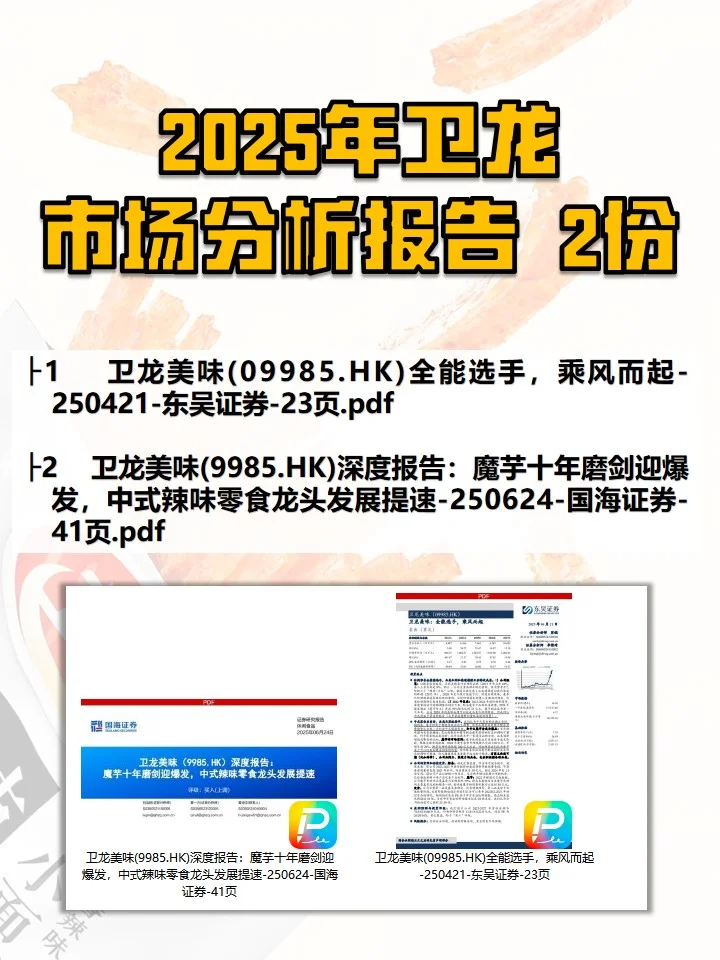 2025年卫龙市场分析报告2份