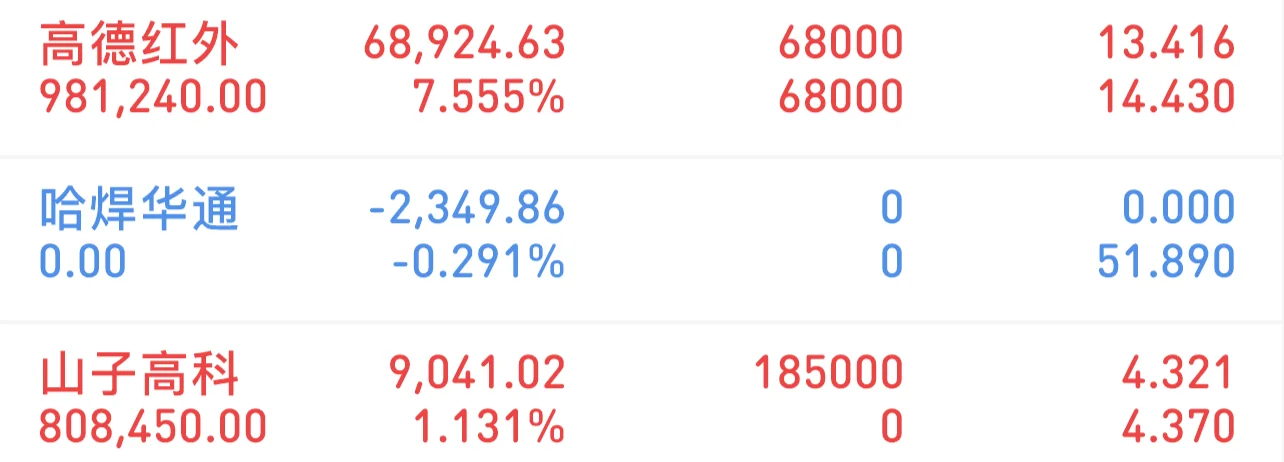 今日买入：山子高科