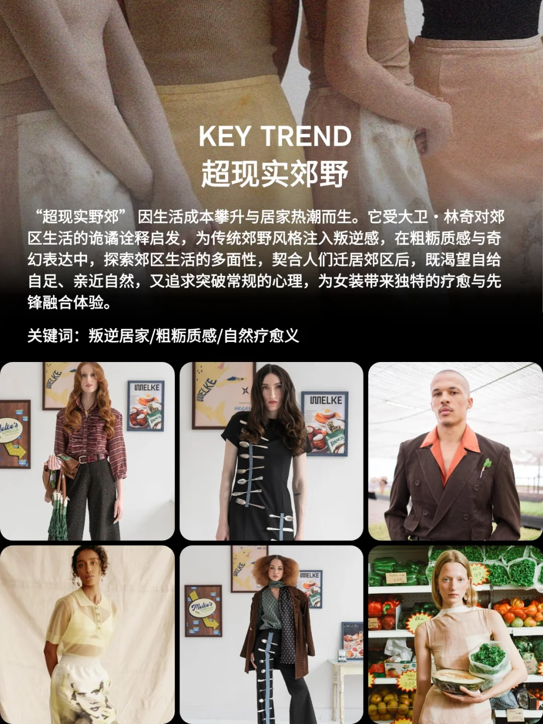 蝶讯流行趋势 | 主题企划