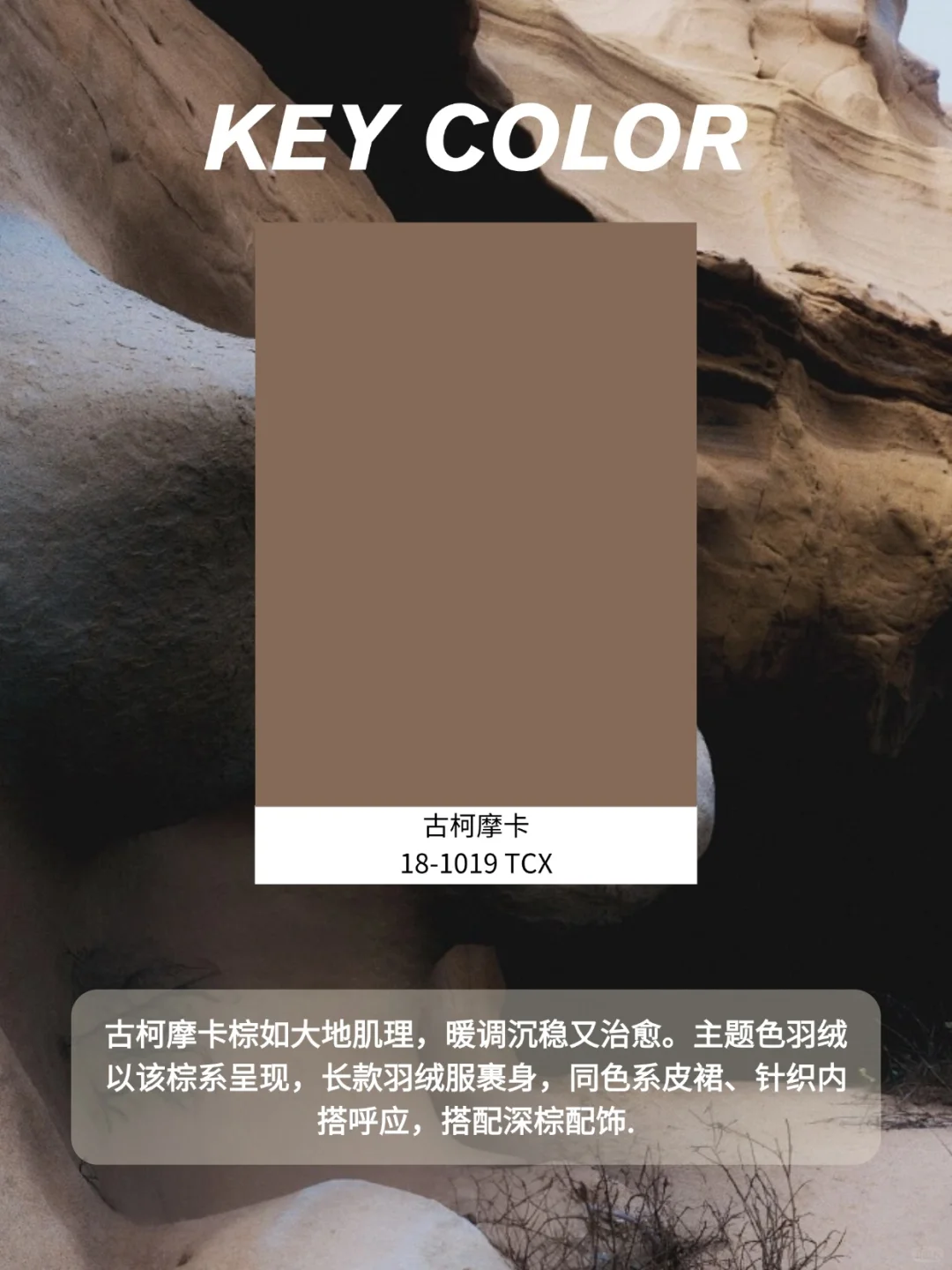 2026秋冬羽绒色彩趋势，一篇全搞定！?