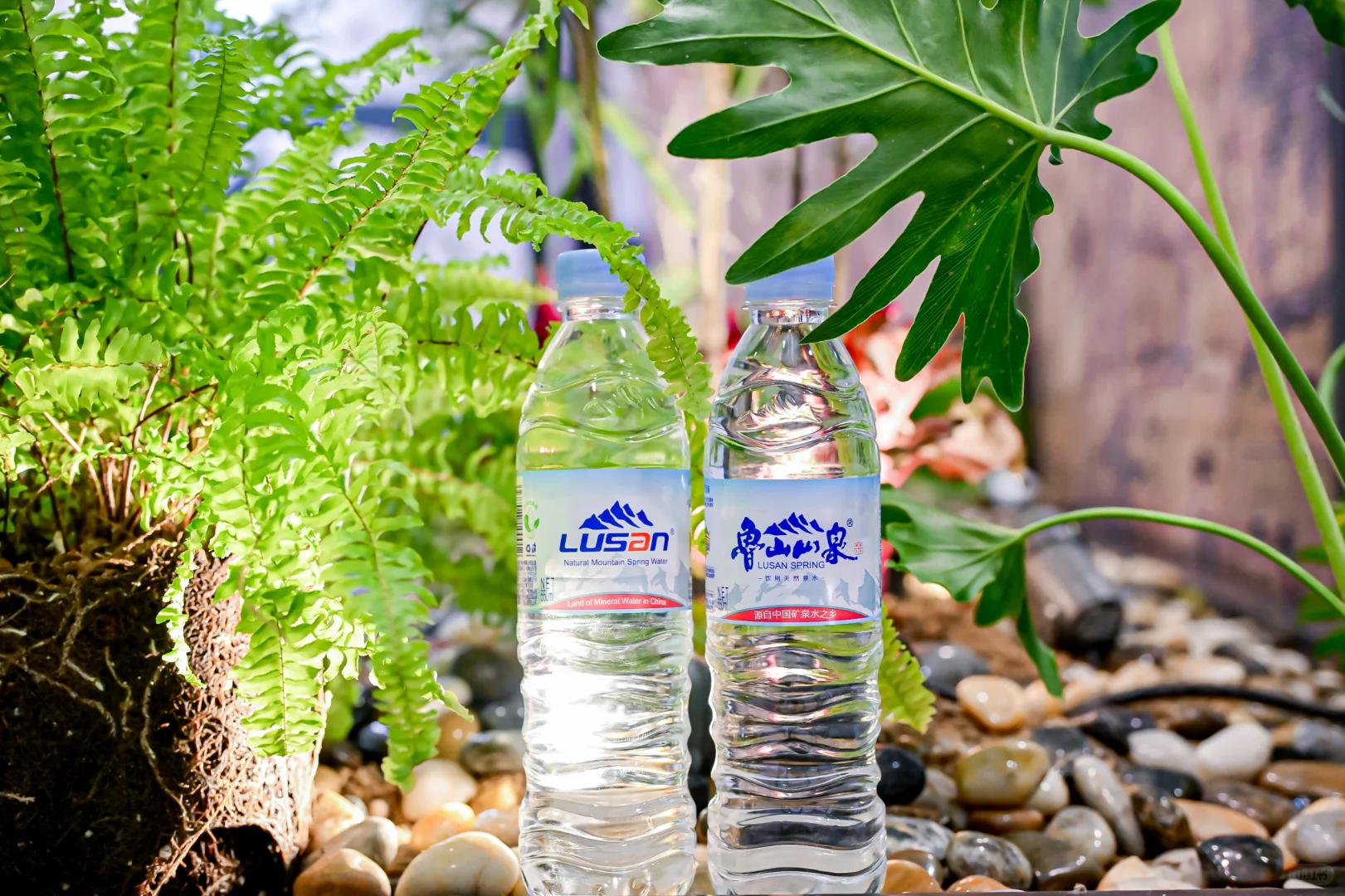 鲁山山泉550ml 饮用天然泉水