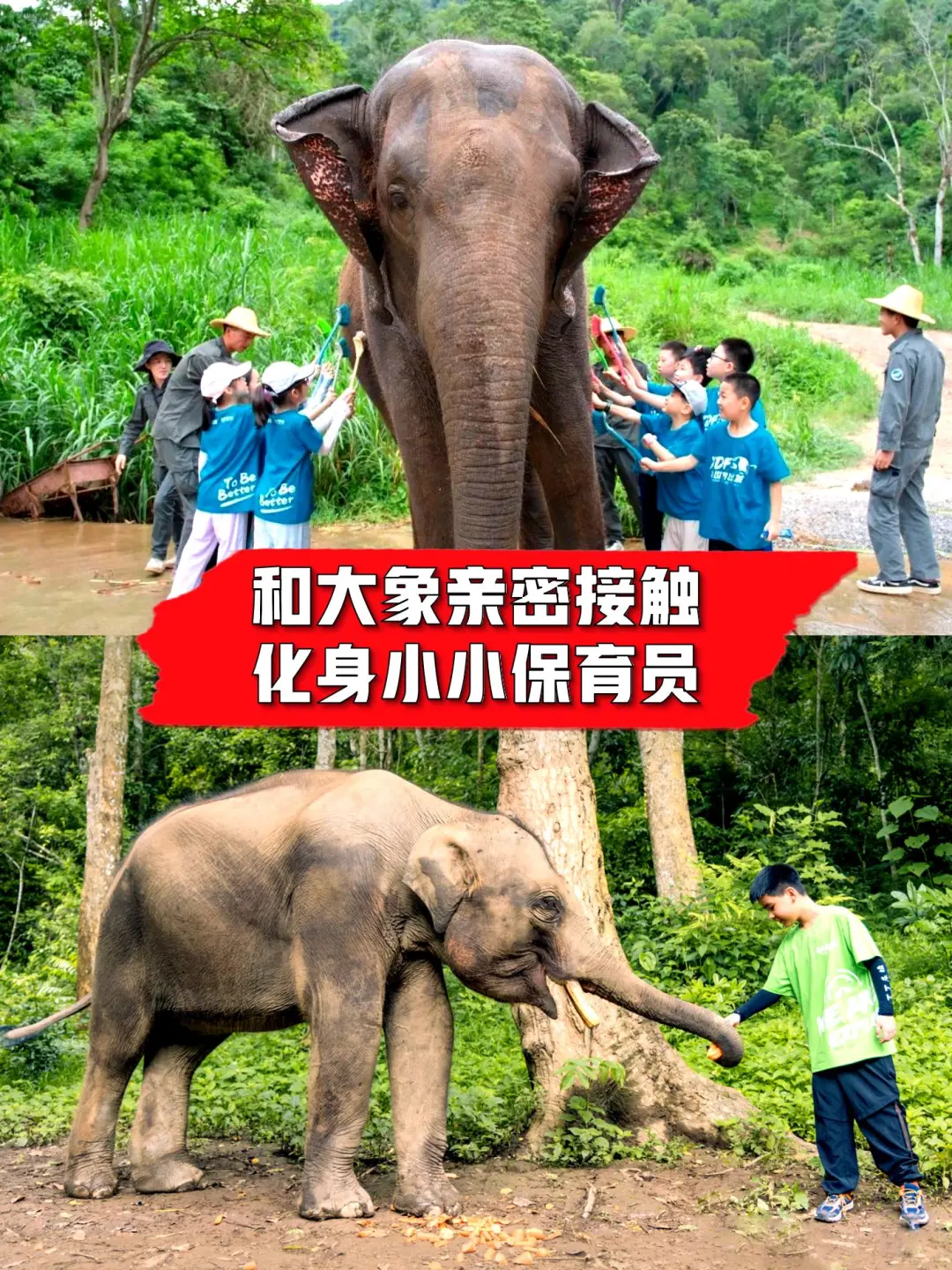 终于有人把研学的类型给说清楚了‼️