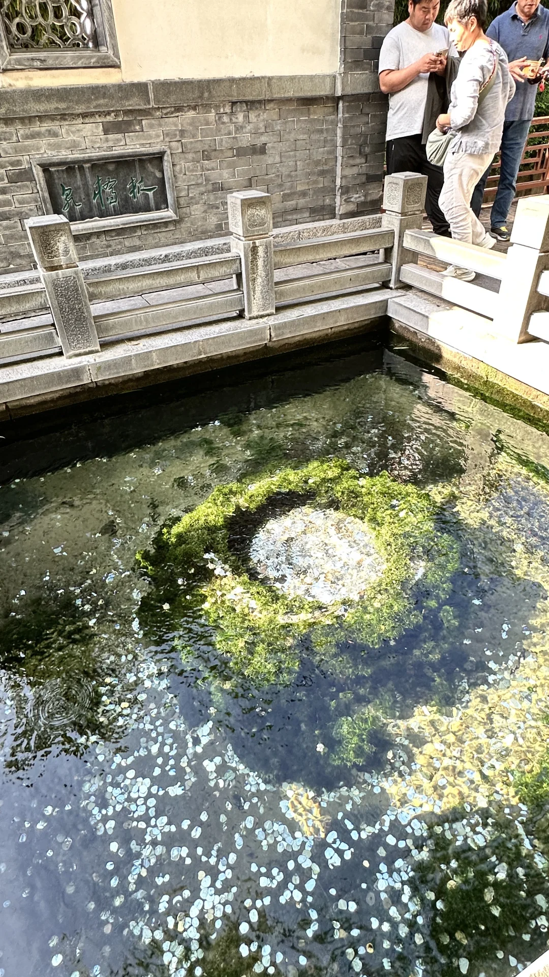 济南的泉水杀疯了！！！！！！！50年不遇