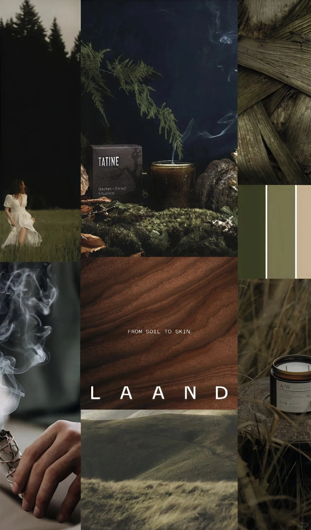 2026秋冬流行色趋势—原色