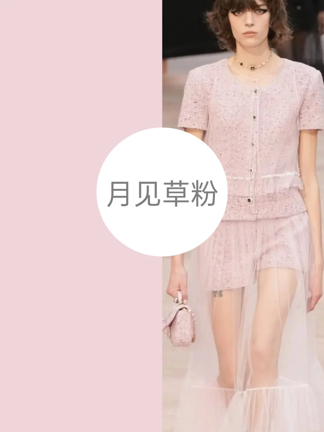 2025秋季流行色彩分析