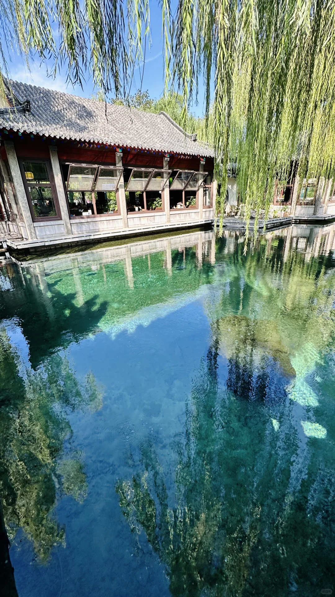 济南的泉水杀疯了！！！！！！！50年不遇