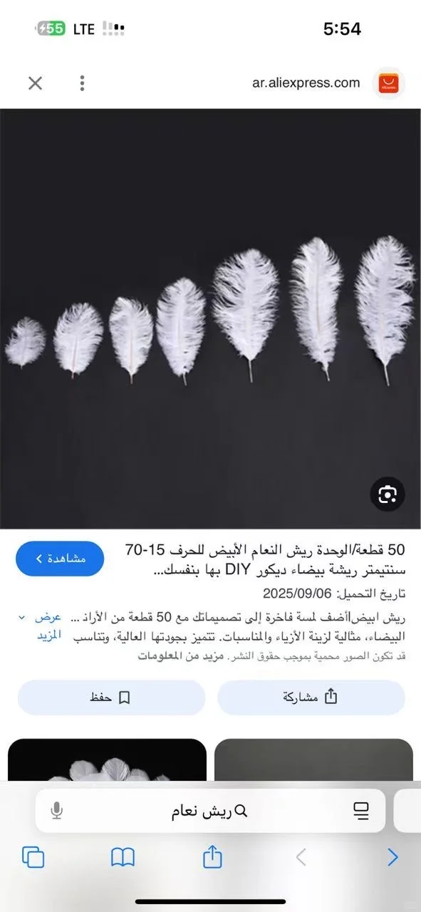 广交会捞供应商