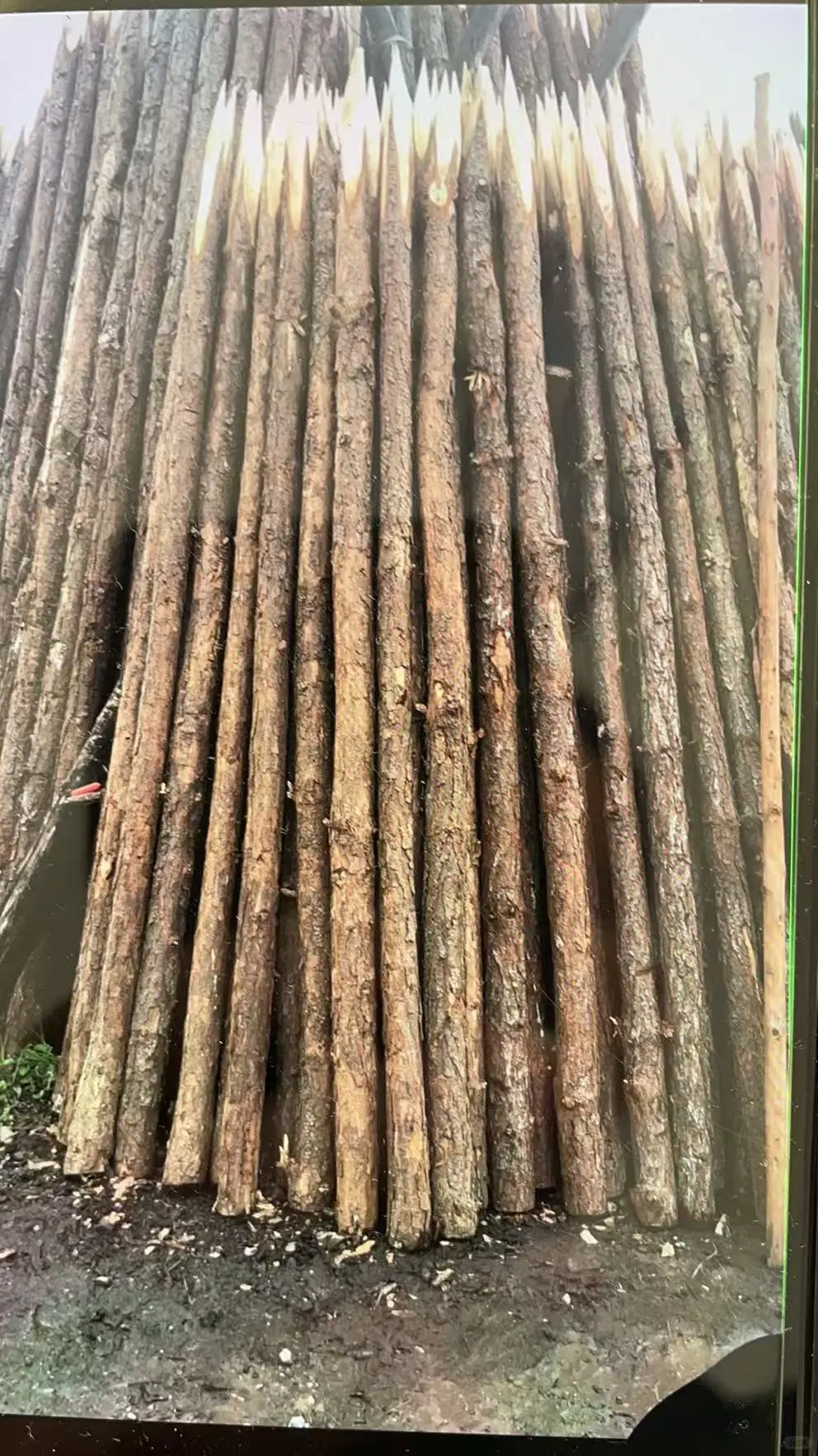 广东建筑木方用途厂家供应商广东建筑木方用