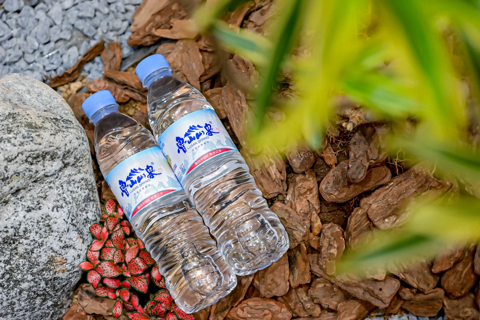 鲁山山泉550ml 饮用天然泉水