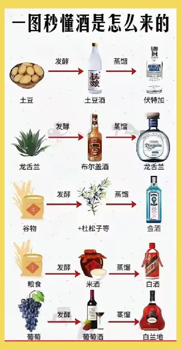 一图秒懂酒是怎么酿造的～