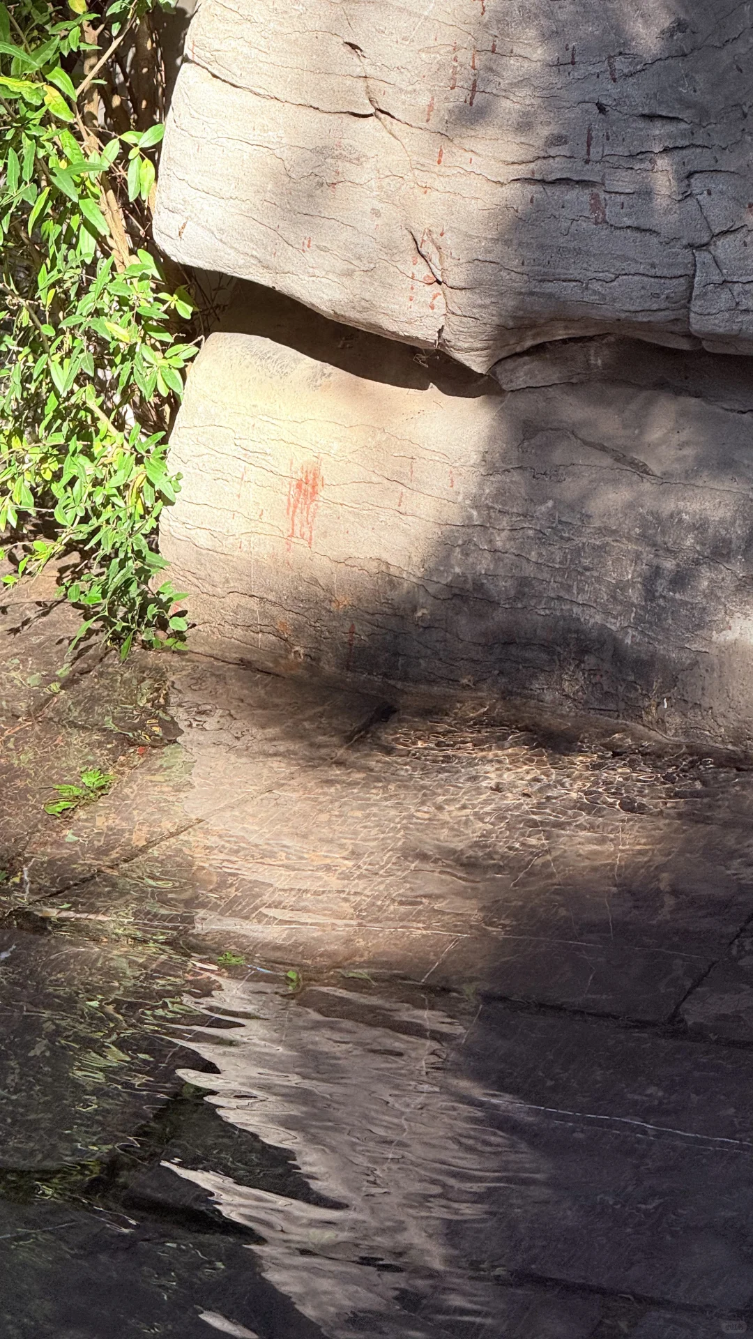 live图｜今天的济南是“清泉石上流”的具象化