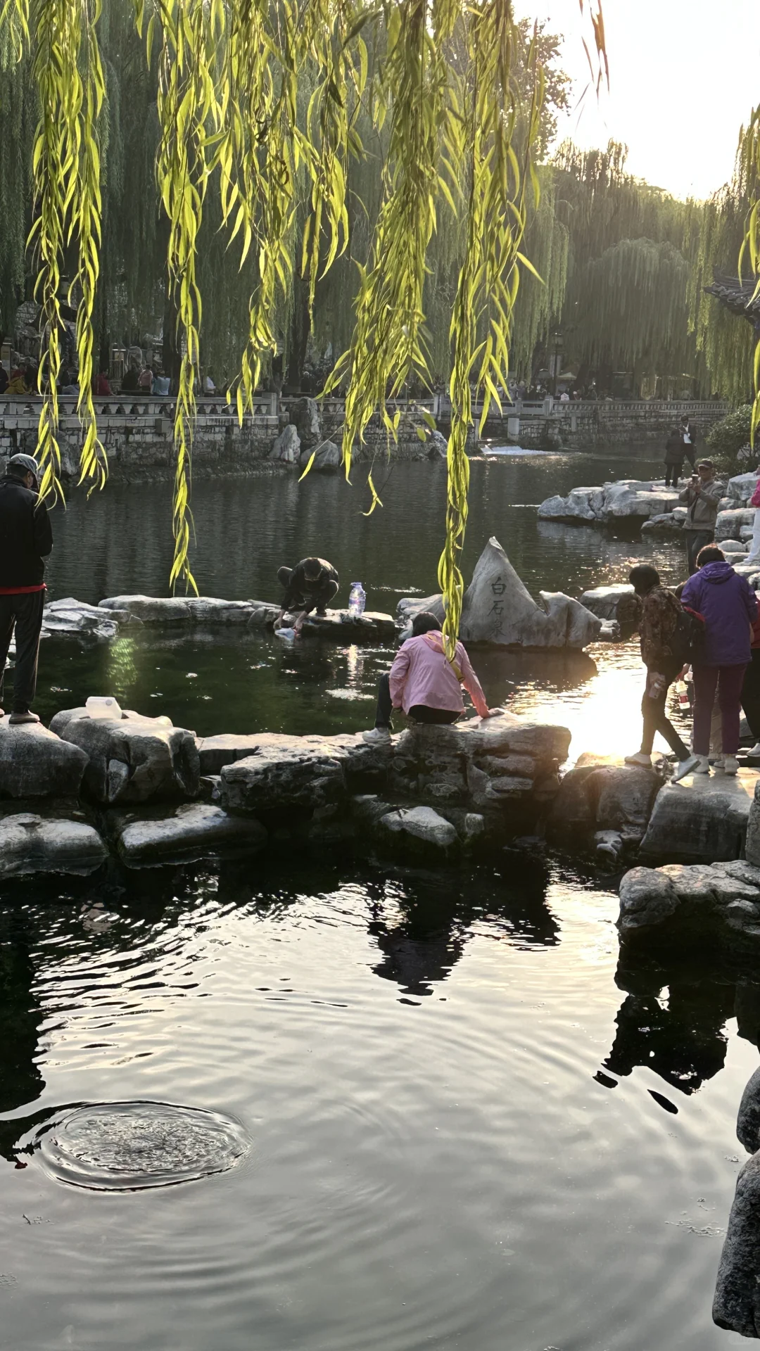 济南的泉水杀疯了！！！！！！！50年不遇