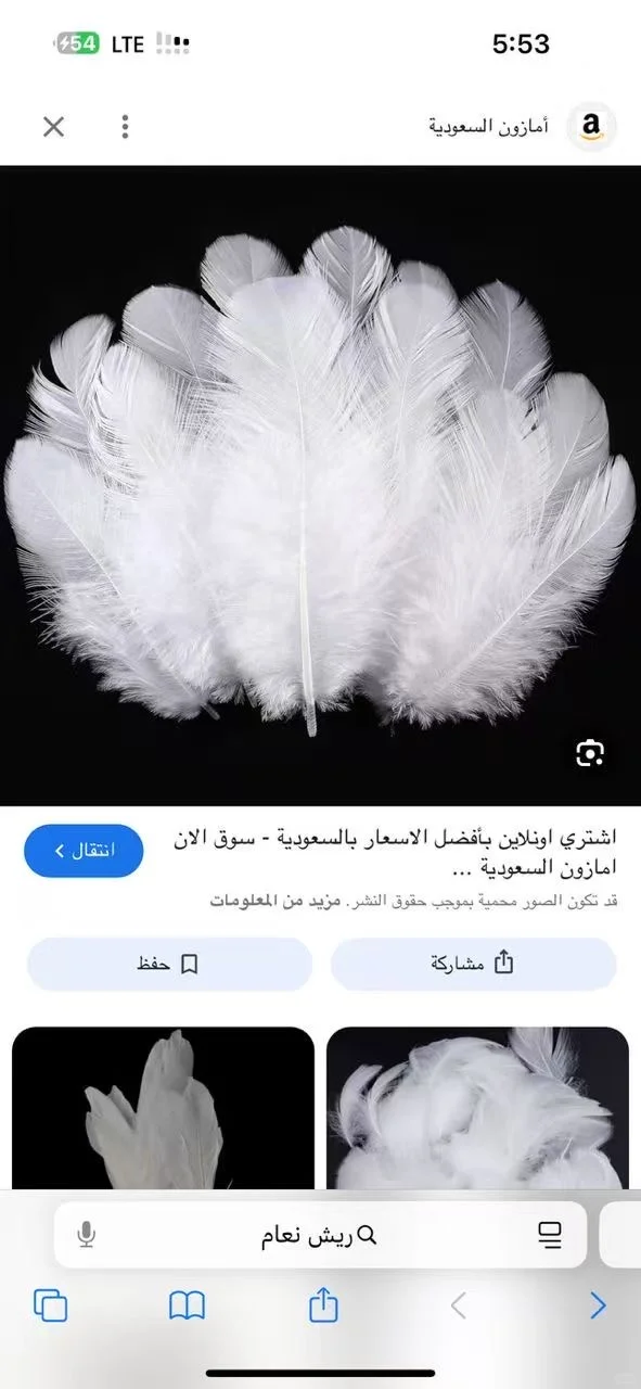 广交会捞供应商