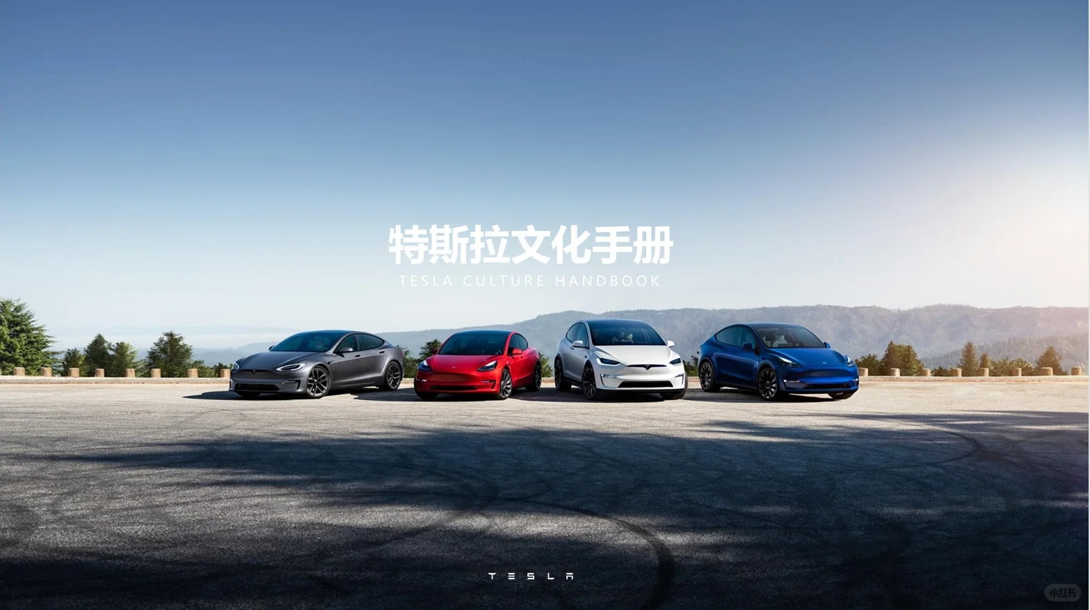 特斯拉：我们不在官僚主义上浪费时间