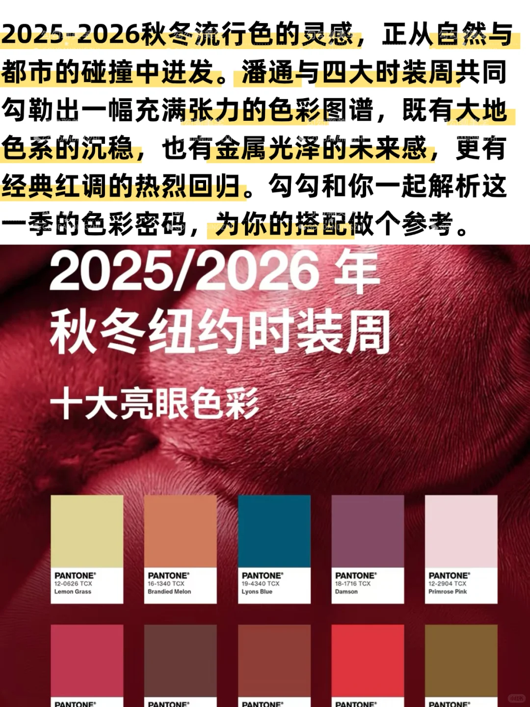 2025秋冬流行色全解析|一篇说清秋冬流行色