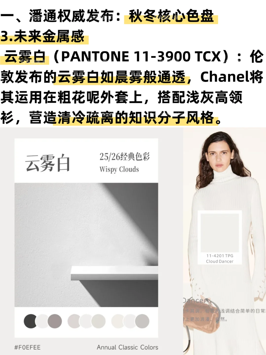 2025秋冬流行色全解析|一篇说清秋冬流行色