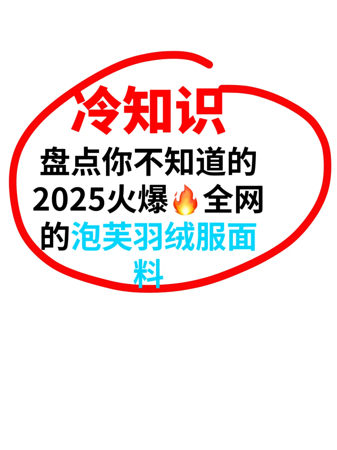 火爆?2025年的泡芙款羽绒服面料