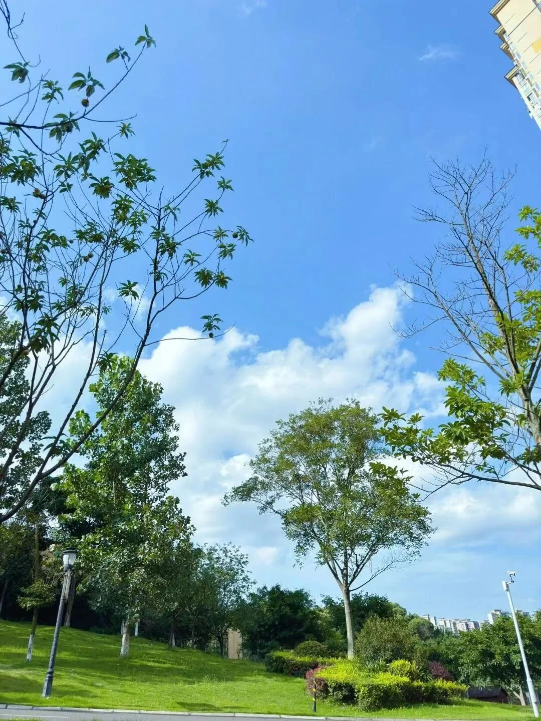 FWD被这家公司的品牌文化狠狠圈粉了