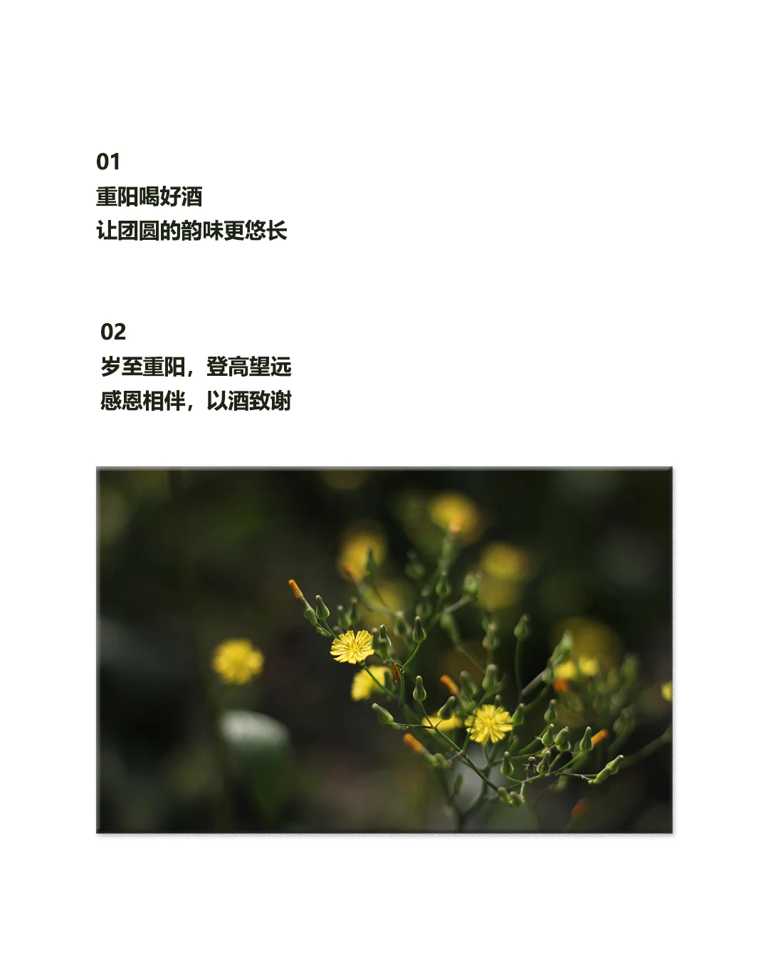 重阳节|白酒行业走心原创文案