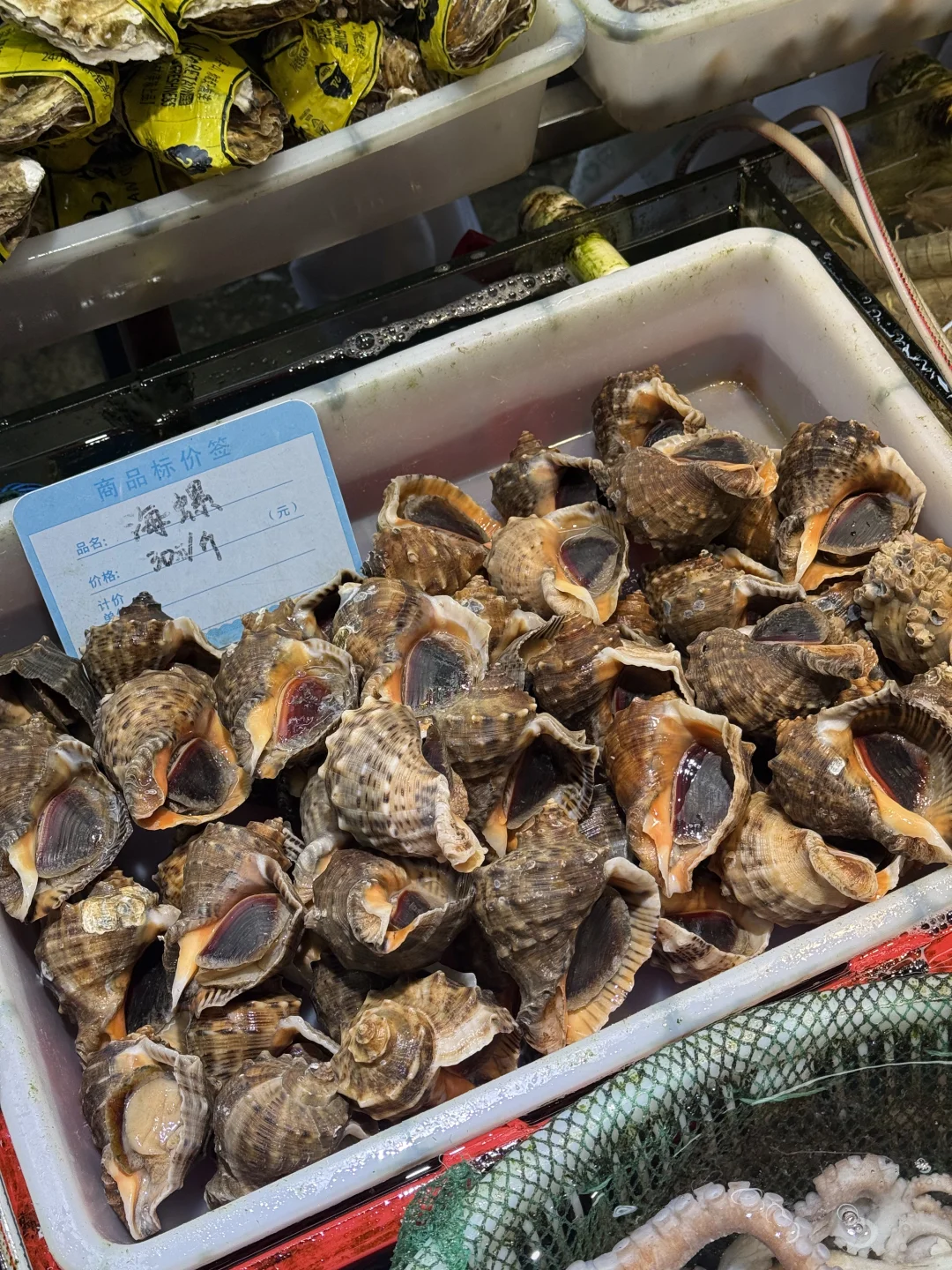 10月海鲜实时价格｜海鲜加工本地人带你避雷