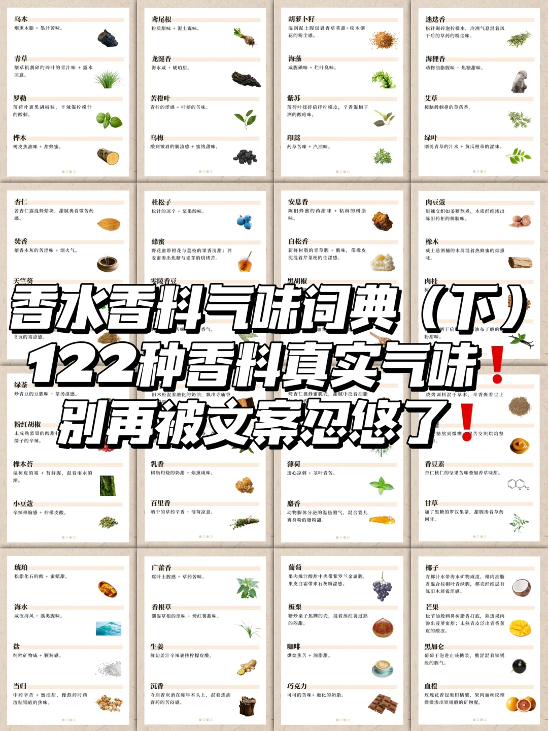 香水香料气味词典（下）｜122种香料真实气味