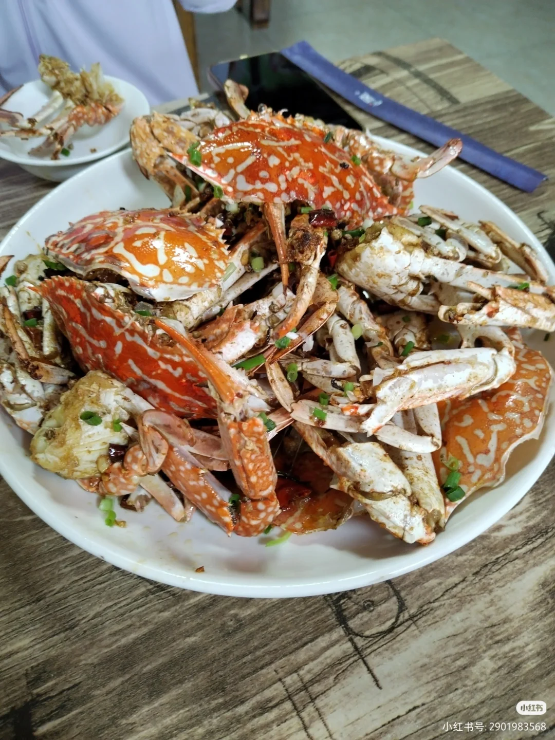 陵水新村码头！本地妹带买海鲜+加工，省一