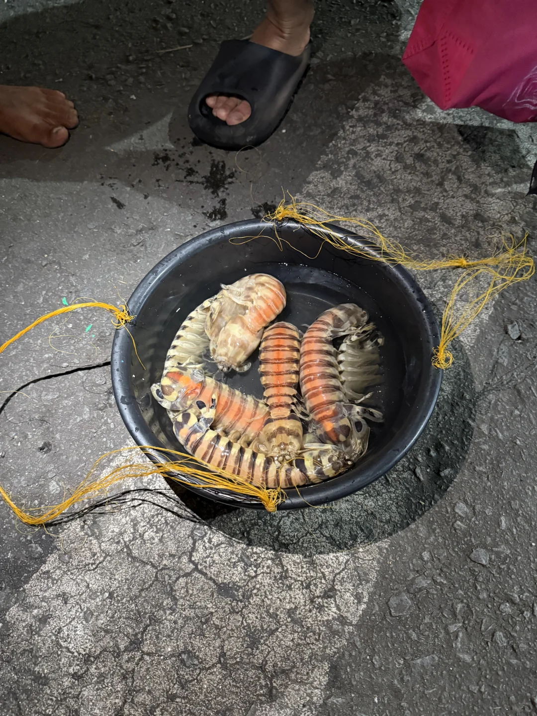 仙本那海鲜砍价价格参考