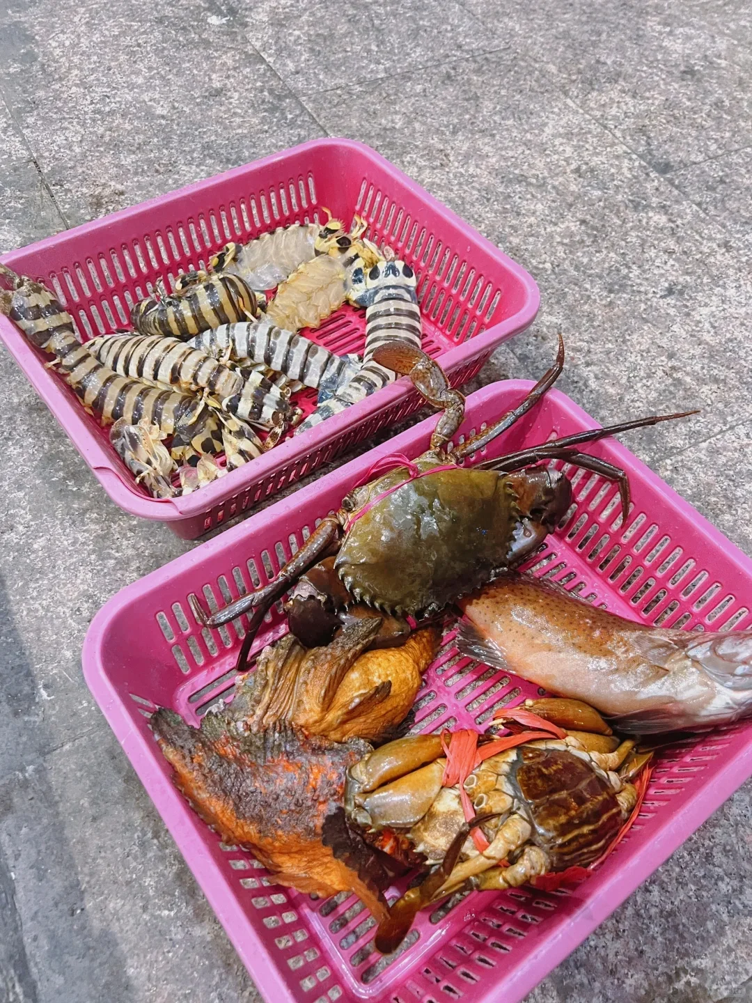 ?仙本那海鲜市场|砍价砍到摊主想拉黑我!