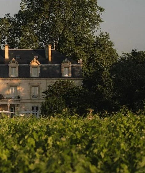 ?波尔多为啥能稳坐葡萄酒王国呢？