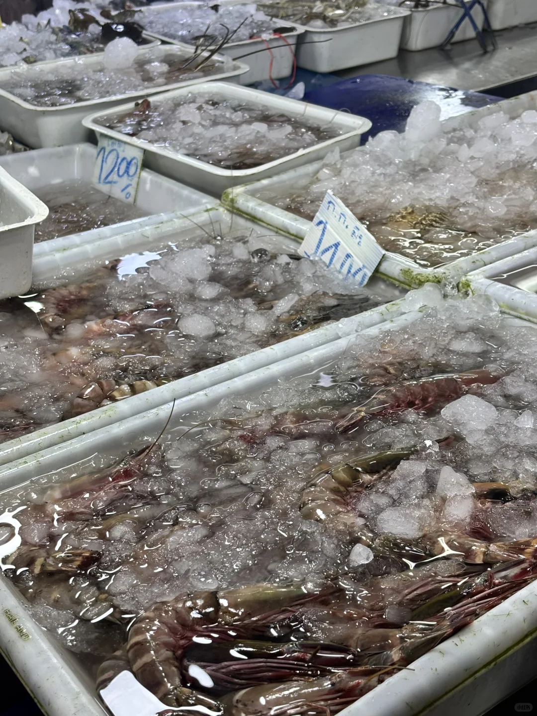 ??普吉岛这家海鲜市场,成功砍价攻略❗️