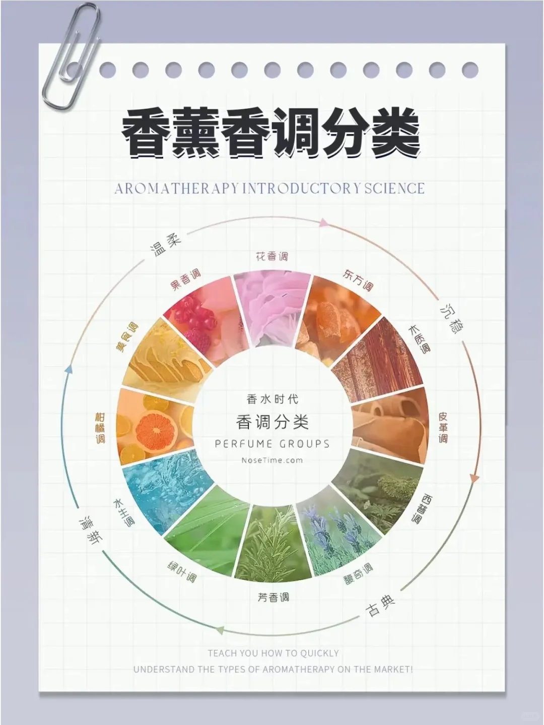 纯干货，香薰控必须了解的香味分类！！