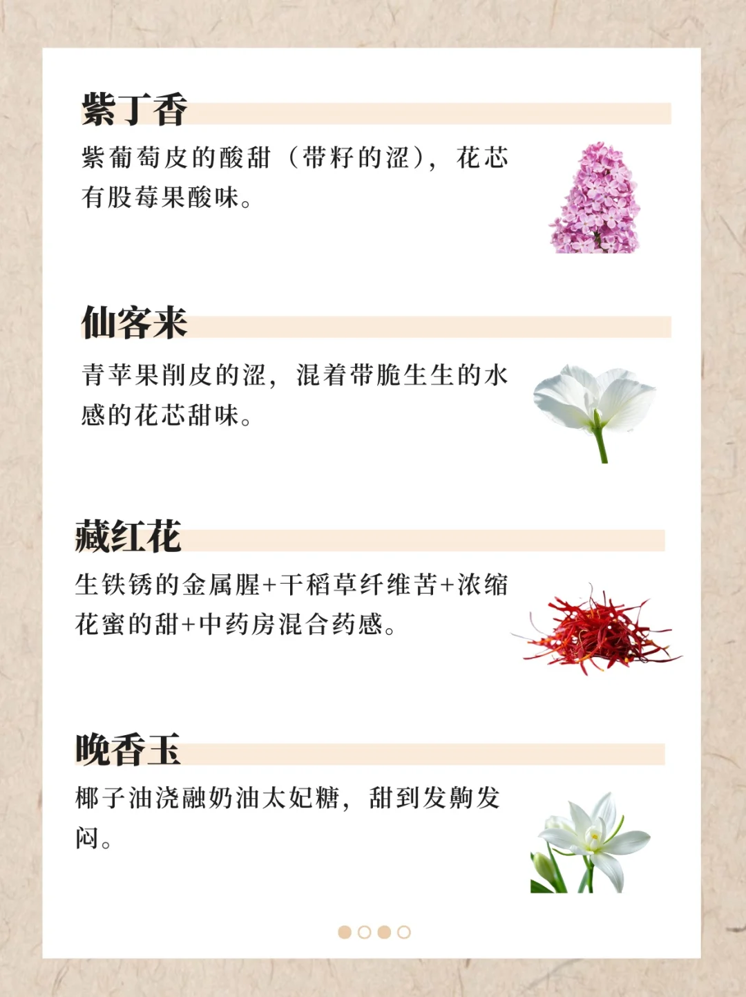 香水香料气味词典（下）｜122种香料真实气味