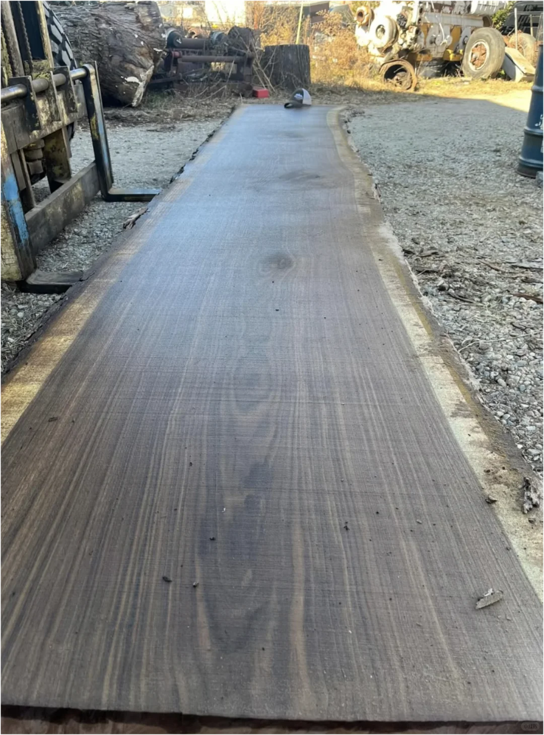 北美黑胡桃木价格秘密｜还会继续上涨吗？