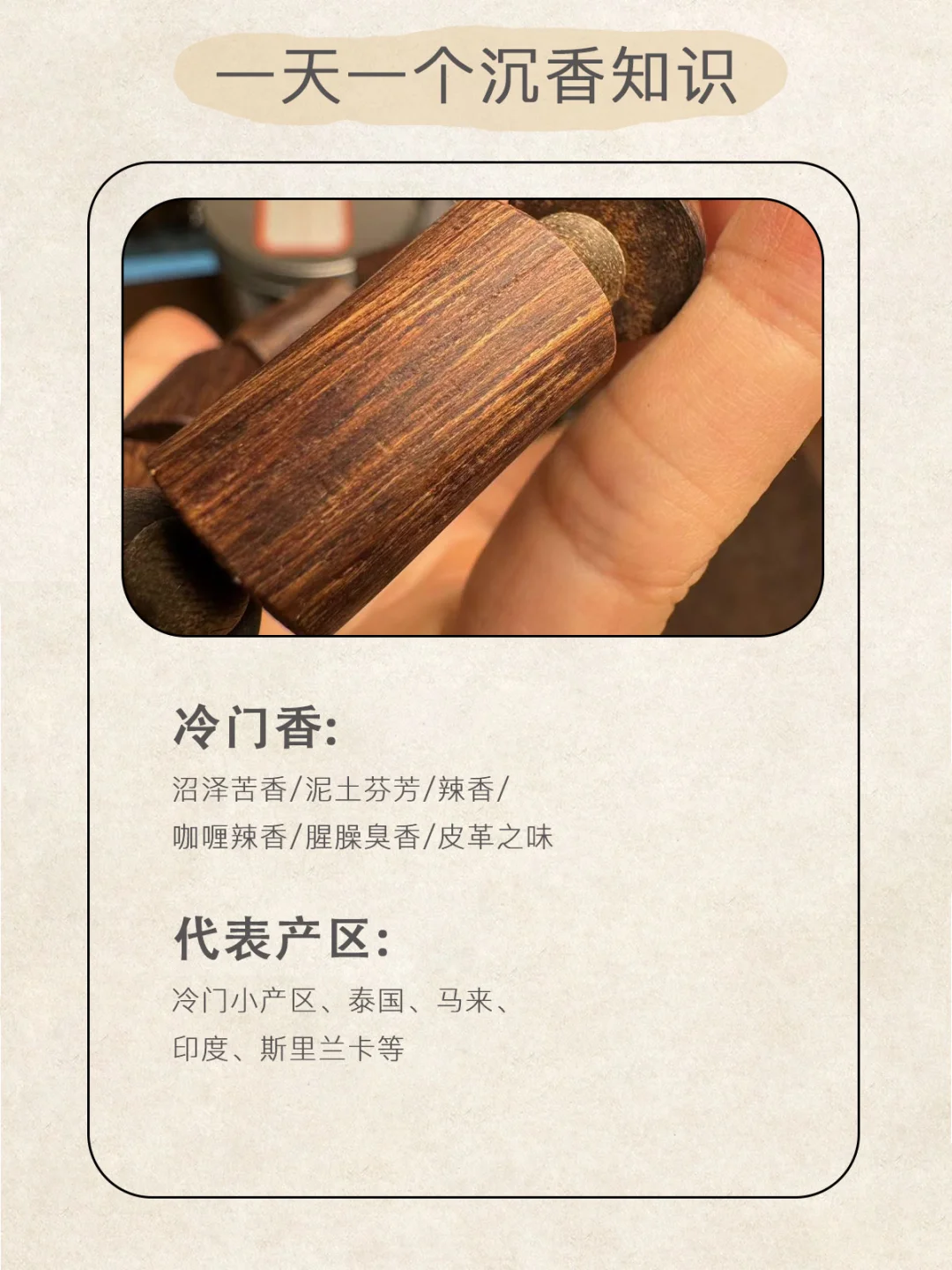 学会这30个品香术语｜你也能出口成章