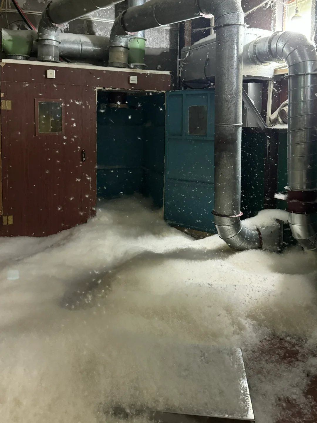 老爸叫我发网上卖，笑死，羽绒赛道行不行？