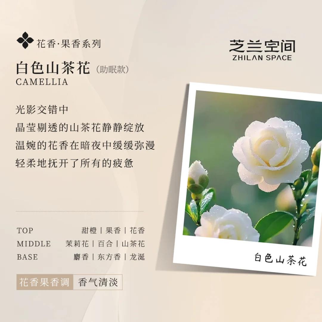 花香型香气推荐