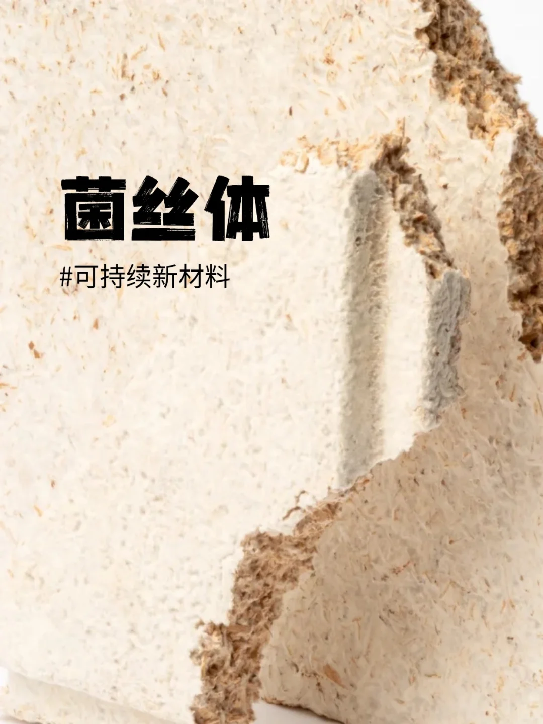 能吃又能造的新型环保材料?