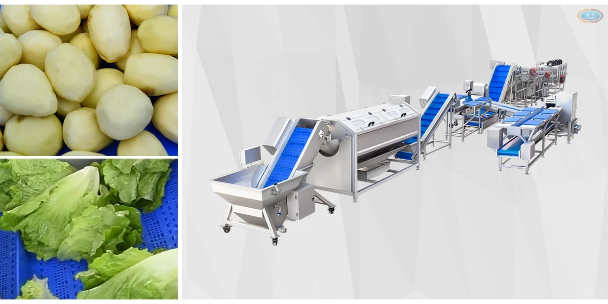 果蔬加工技术解决方案,净菜加工的工艺流程