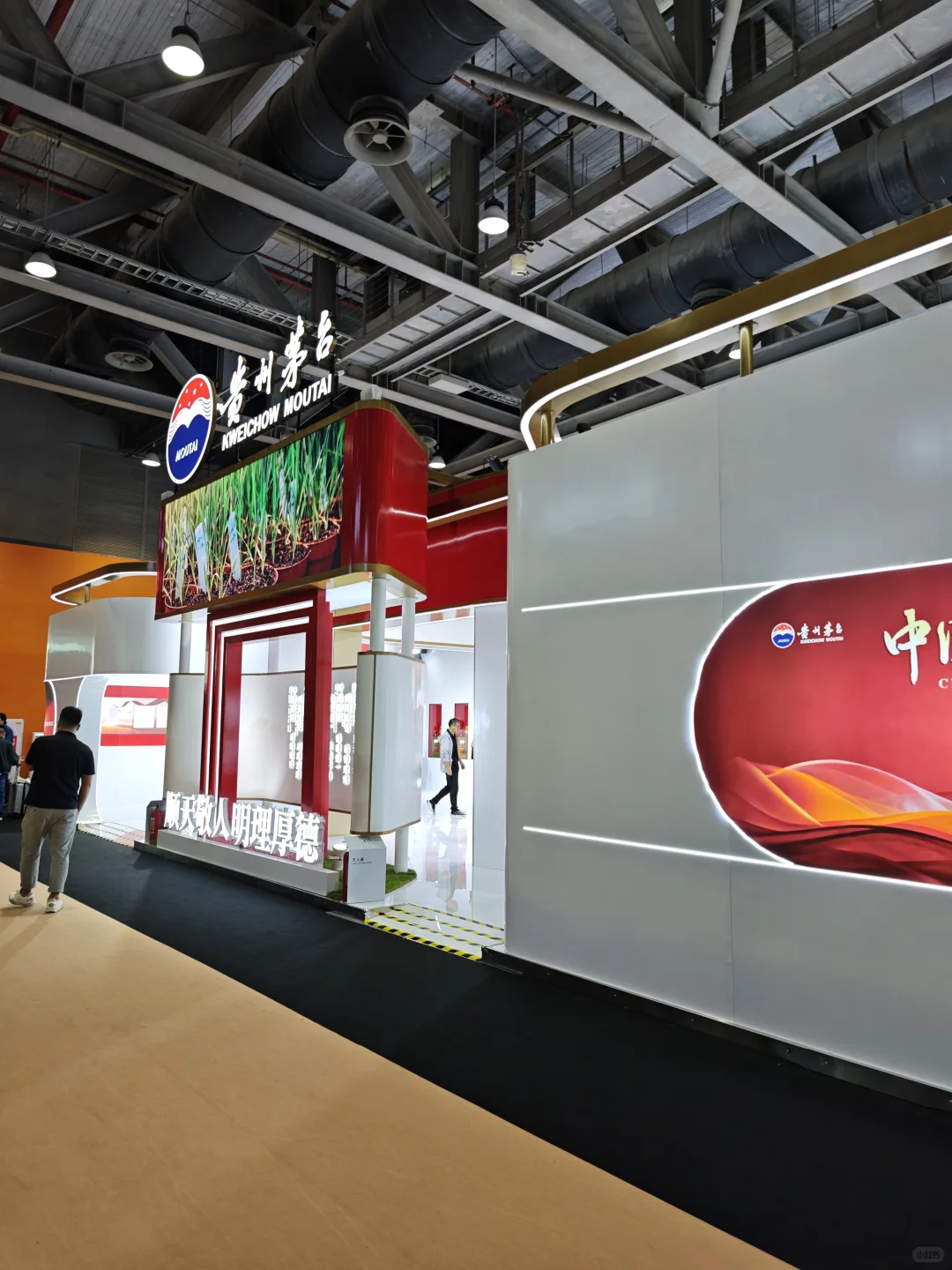 ?酒蒙子不来后悔一年!?