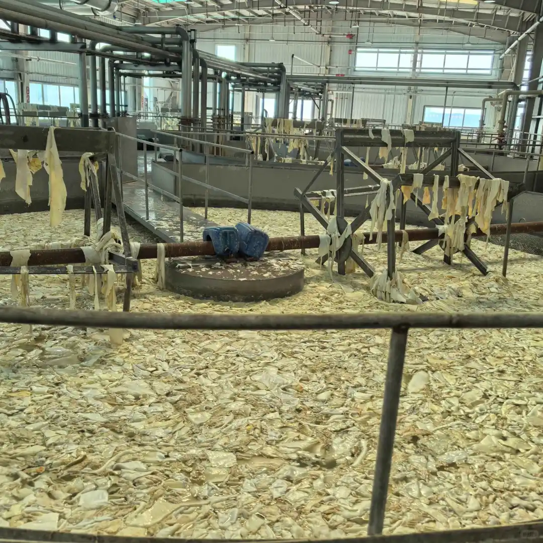 明胶生产的清洁生产技术