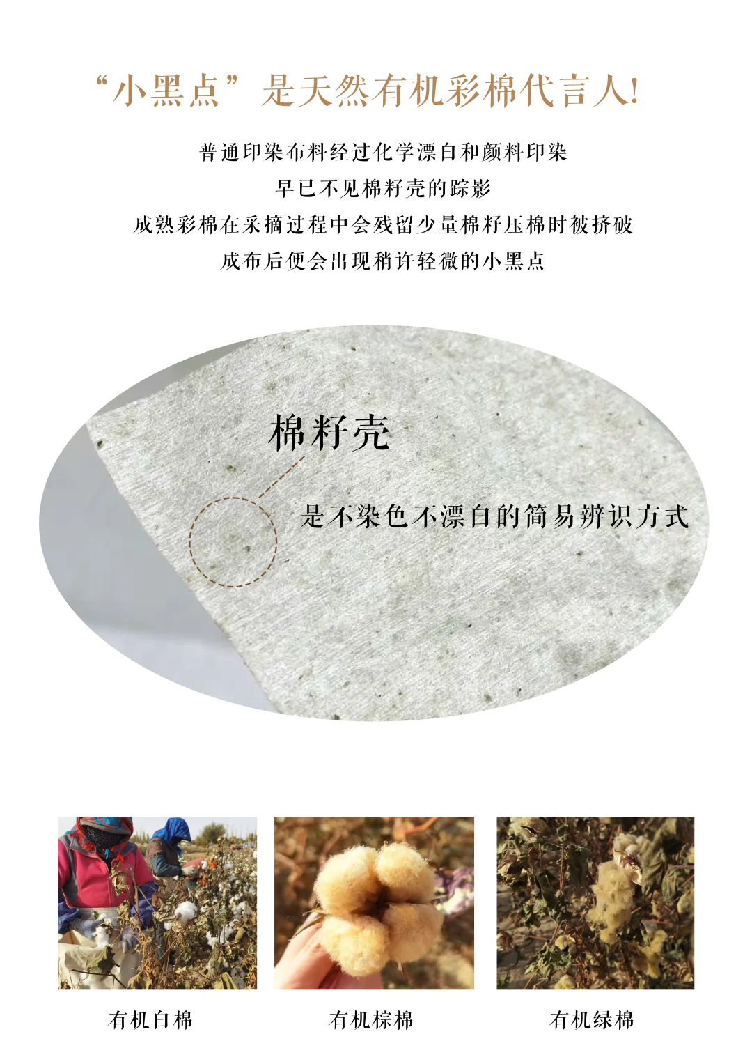 ?俺们是棉花!是有机棉!是100%棉柔巾!