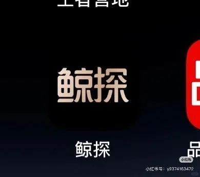 00后挑战数藏圈