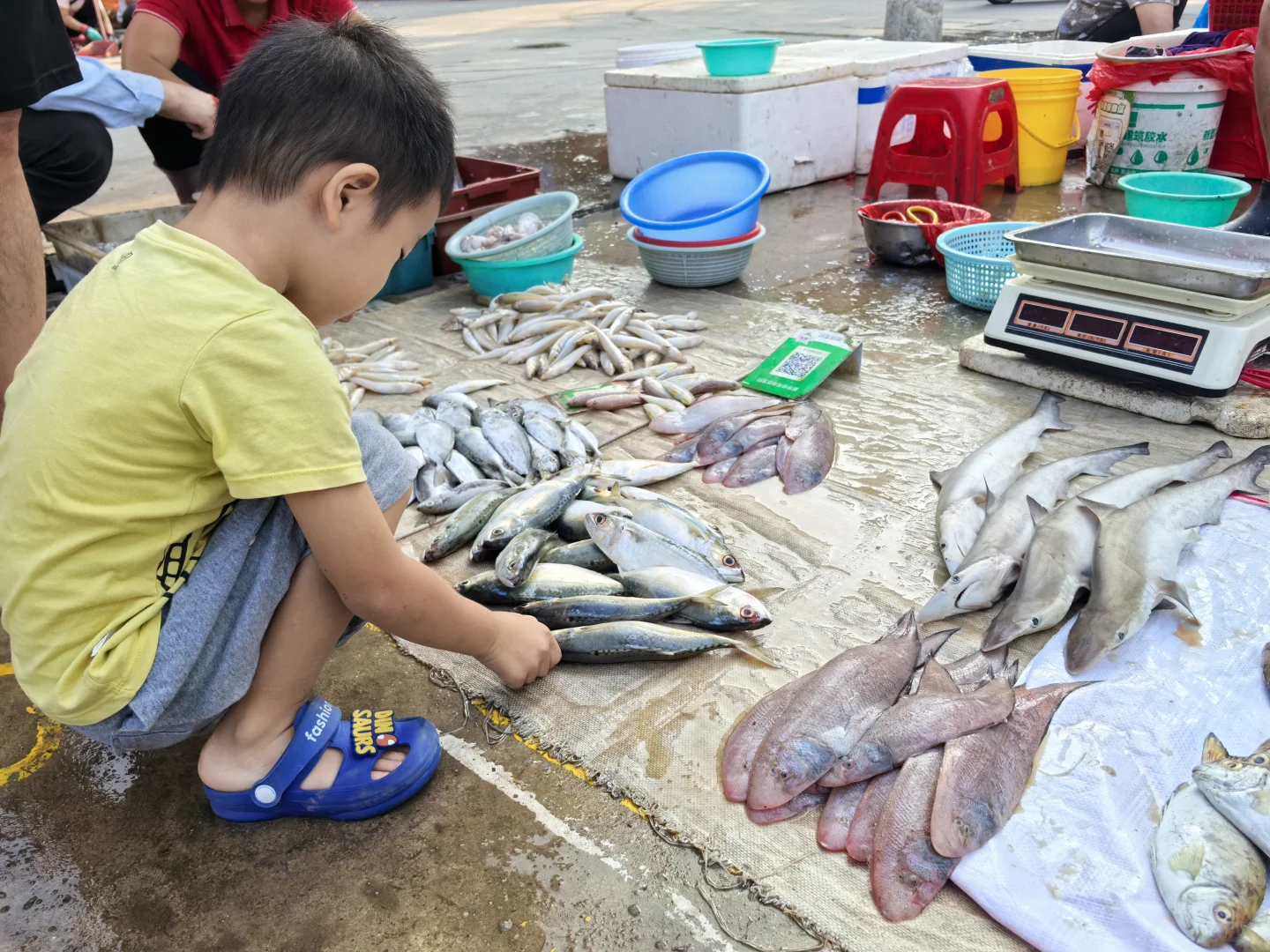 钦州犀牛镇丝罗市场买逛攻略