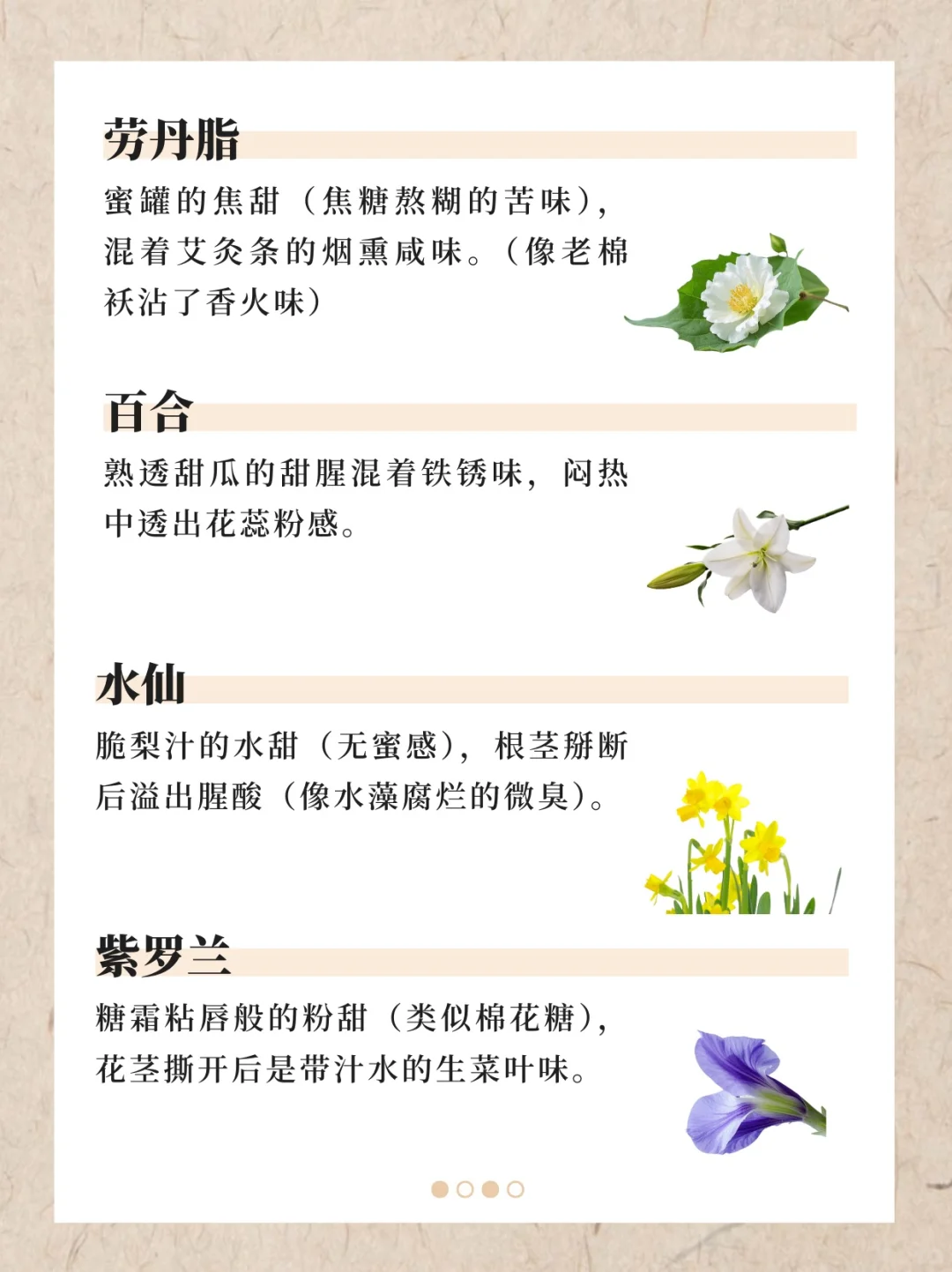 香水香料气味词典（下）｜122种香料真实气味